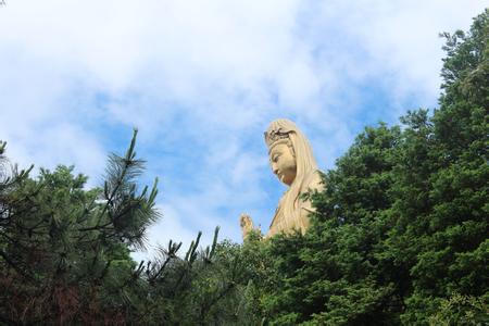 海天佛國(guó)普陀山、普濟(jì)寺、南海觀音 三天雙飛朝圣之旅PT-01