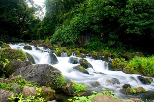 拈花江南·南京中山陵·上海環(huán)球登高·蘇州留園·杭州西湖雙飛5天